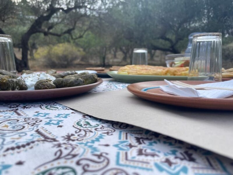 Heraklion: Cretan Farmers Brunch and Olive Grove Tour - Exploring the Olive Grove and Learning About Olive Oil