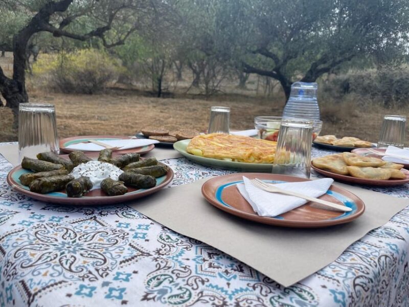 Heraklion: Cretan Farmers Brunch and Olive Grove Tour - What Makes This Tour Stand Out in Heraklion