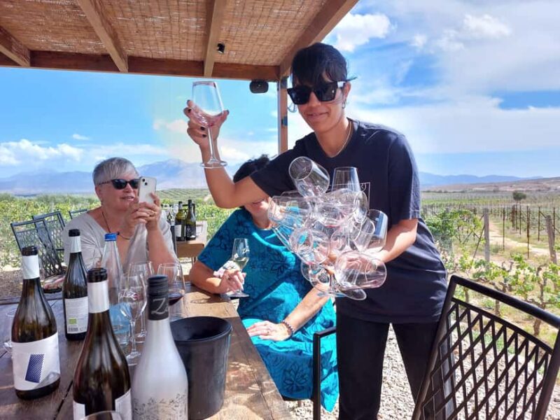 Heraklion: Cretan Wine Tasting Tour & Gourmet Lunch - Discover the Best of Crete’s Wineries in an Intimate Setting