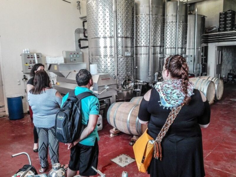 Heraklion: Cretan Wine Tasting Tour & Gourmet Lunch - Gourmet Lunch with Wined Pairings at a Top Restaurant