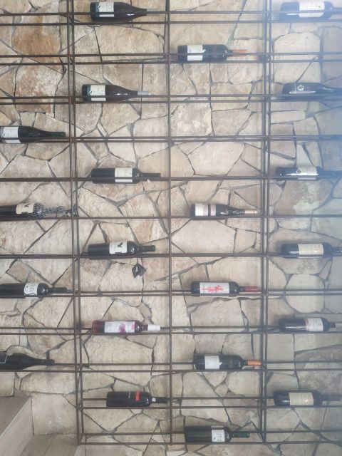 Heraklion: Ecobike Tour with Wine Tasting - Who Will Enjoy This Tour the Most