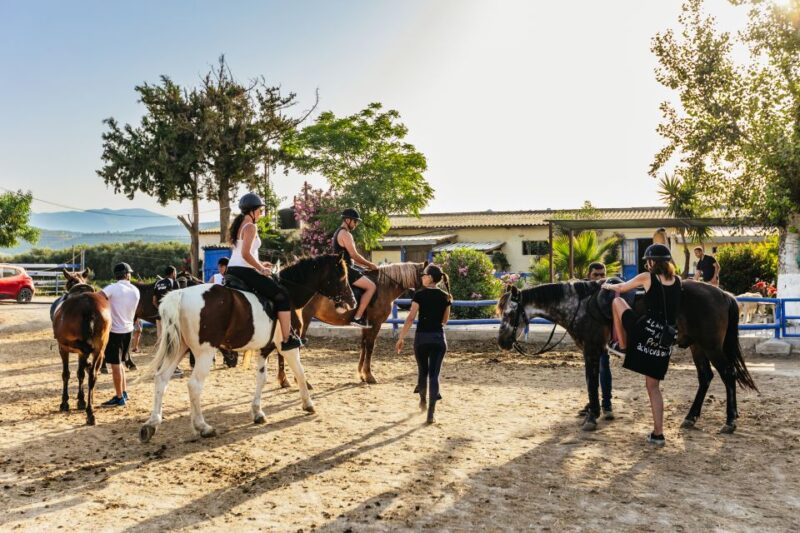 Heraklion: Finikia Horse Riding Tour with Lunch or Dinner - Logistics: Pickups, Group Size, and Booking Tips