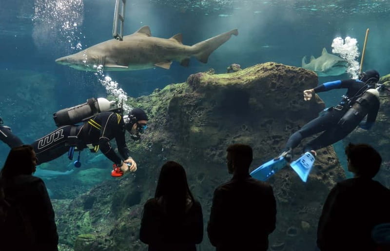 Heraklion: Heraklion Market & CretAquarium *SKIP The Line - Heraklion City Center: Museums, Cafes, and Arts