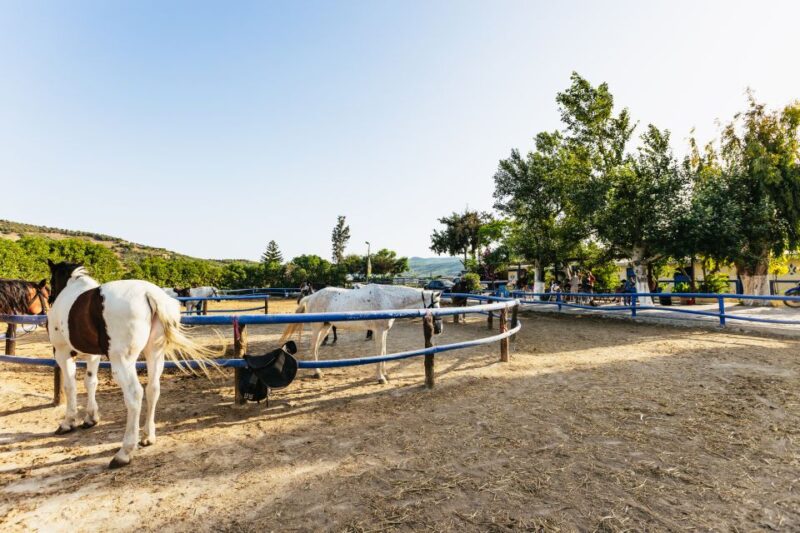 Heraklion: Horse Ride in the Cretan Mountains - The Value of This Horseback Adventure