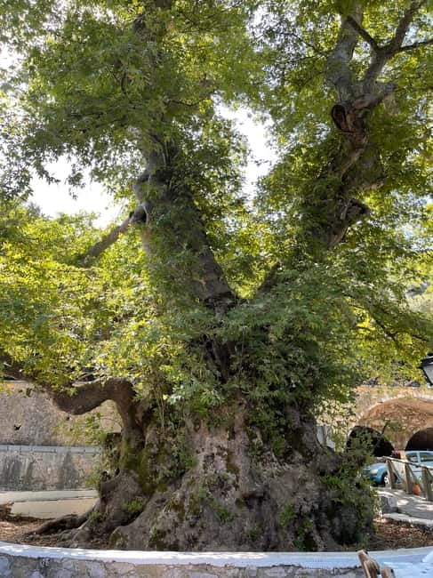 Heraklion: Knossos, Zeus, Villages & Olive Oil Factory Tour - Visiting Knossos Palace: Myth and History