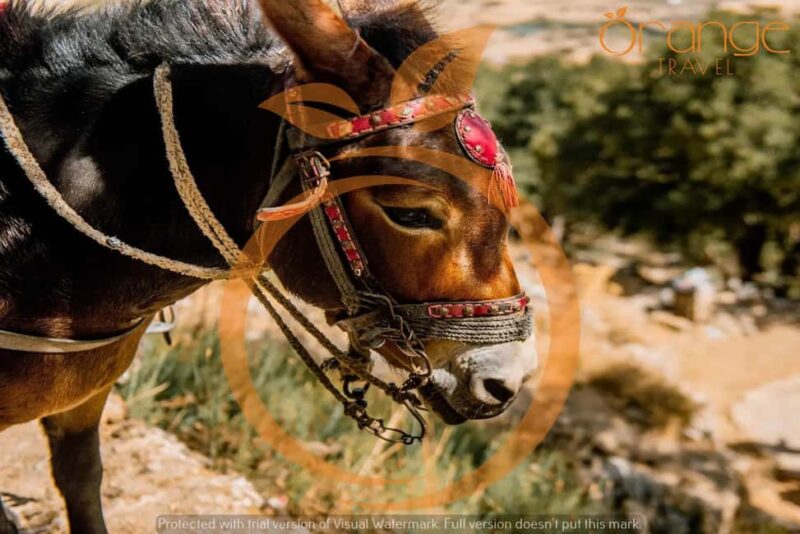 Heraklion :Lasithi Plateau -Mythology Park&Knossos Palace - Discover Crete’s Ancient Sites and Scenic Landscapes in a Day