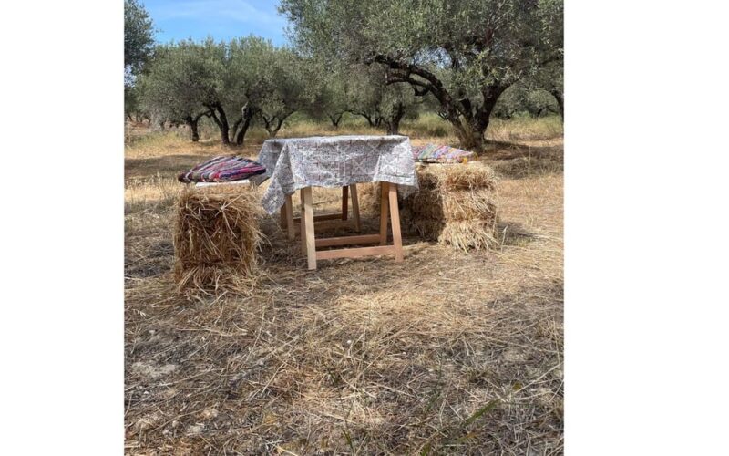 Heraklion :Olive & Dragon Farm Tour & Cretan Farmers Brunch - Key Points