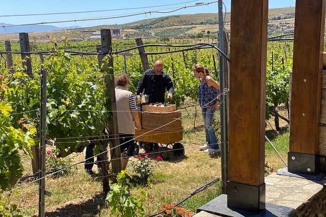 Heraklion Private Half-Day Wine Tasting Tour in Lyrarakis Winery - The Experience Provider: Genuine Experience by Rami Masount