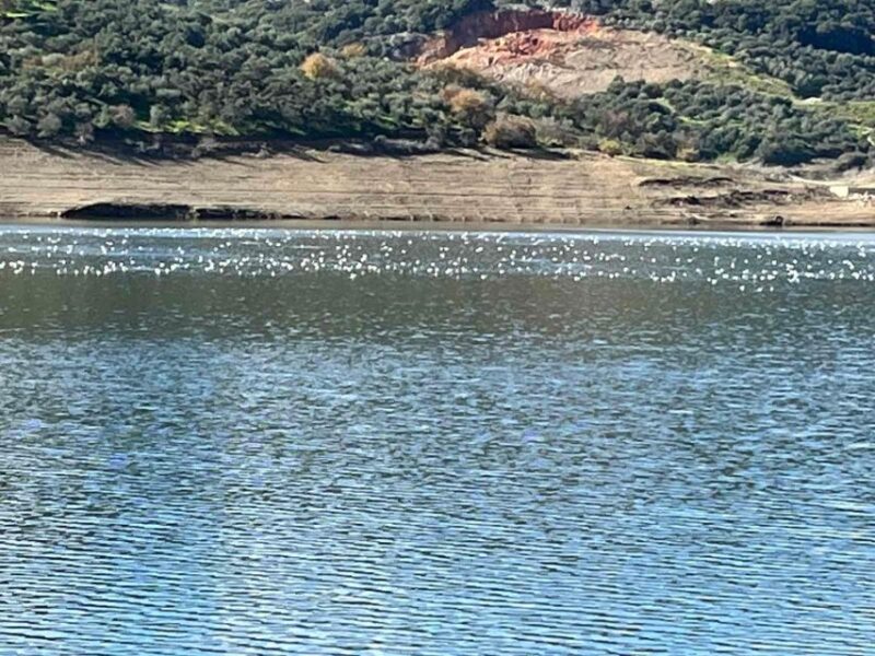 Heraklion: Private Zeus Cave, Winery, Lunch, Knossos Palace - Authentic Home-Cooked Lunch in Archanes Village