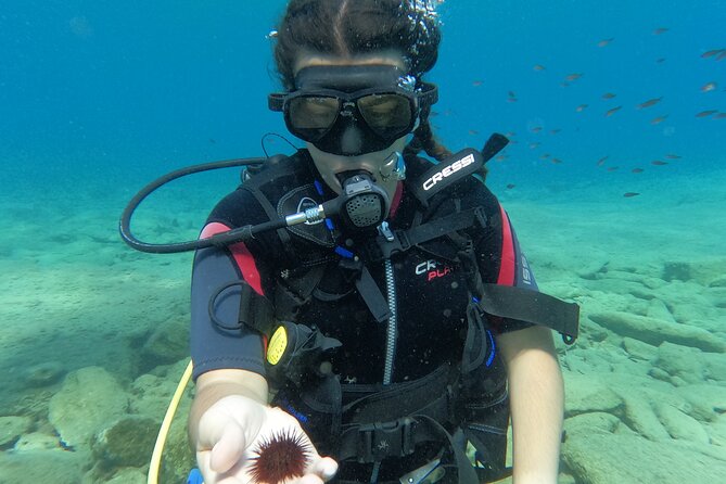 Heraklion: Scuba Diving Experience for Beginners - Starting Point and Meeting Details in Agia Pelagia