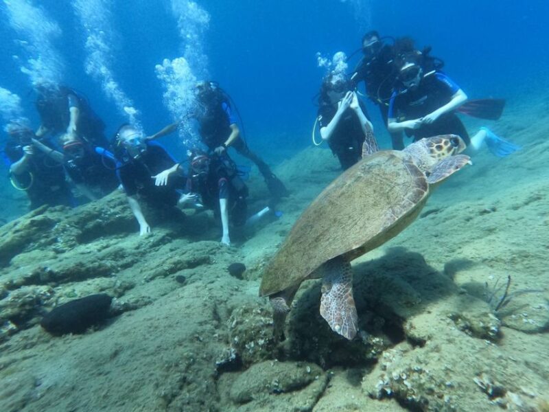 Heraklion: Scuba Diving Experience for Beginners - Why This Tour Stands Out for Beginners