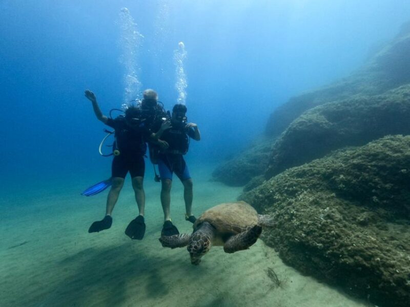 Heraklion: Scuba Diving Experience for First-Timers - The Itinerary: From Pickup to Marine Encounter