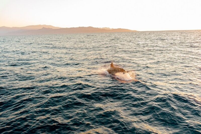 Heraklion: Sunset Private Sailing Trip to Dia island - Watching the Sunset from the Boat