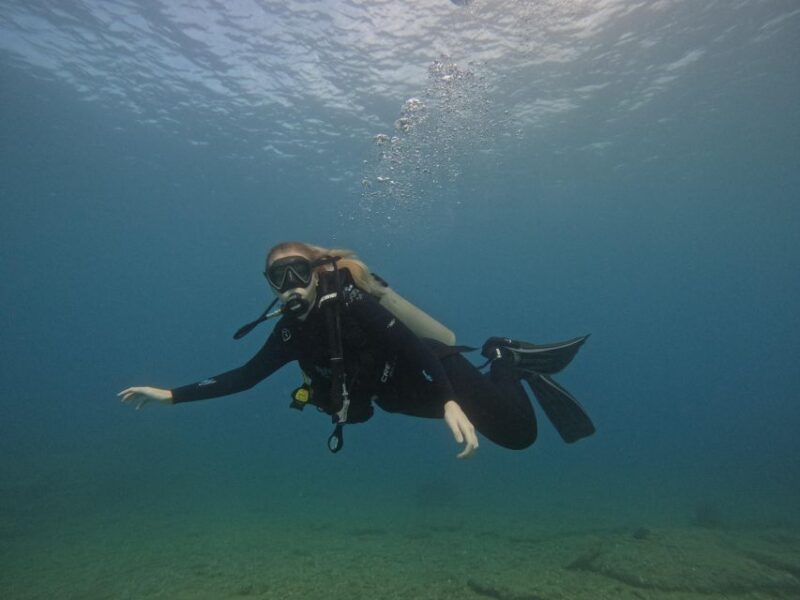 Heraklion: Try Scuba Diving For Beginners (1 dive) - The Dive Itself: Exploring the Underwater World