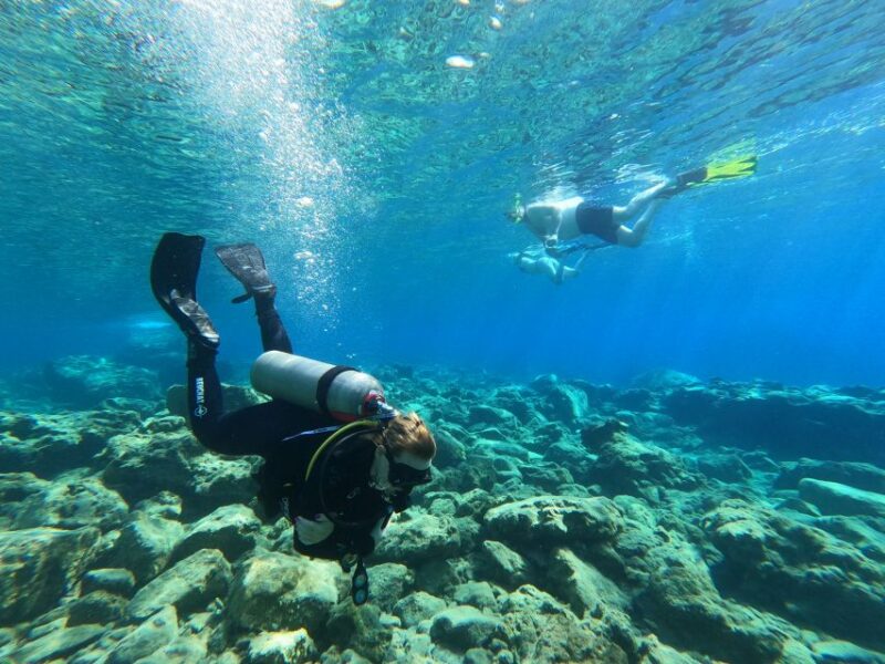 Heraklion: Try Scuba Diving For Beginners (1 dive) - The Experience of the Guides: Knowledgeable and Patient