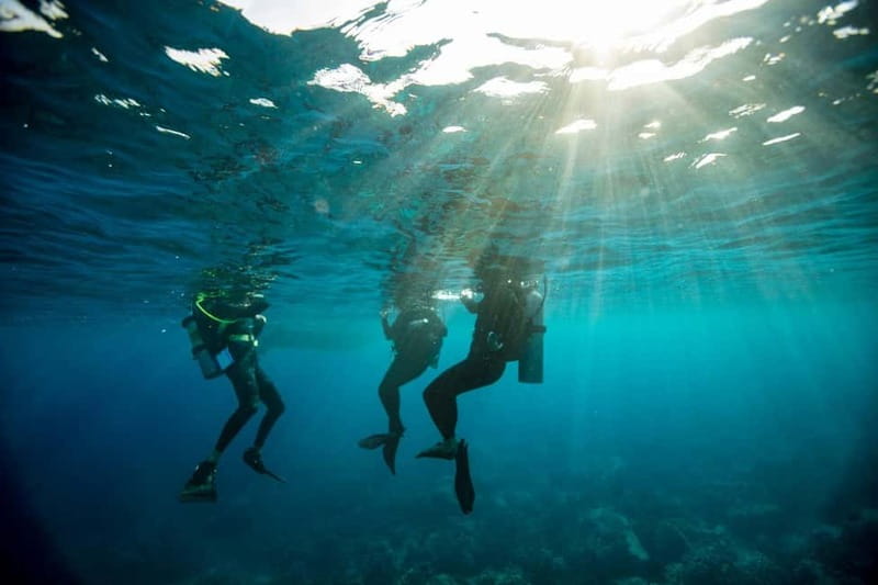 Heraklion: Try Scuba Diving - Timing and Pacing of the Experience