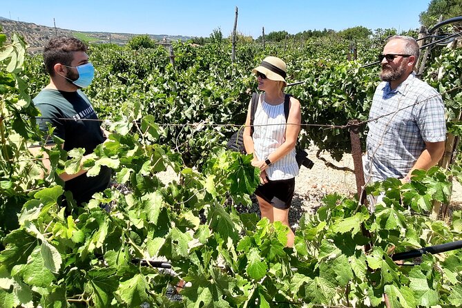 Heraklion wine tour & Cretan meze lunch - The Meze Lunch at a Traditional Cretan Tavern