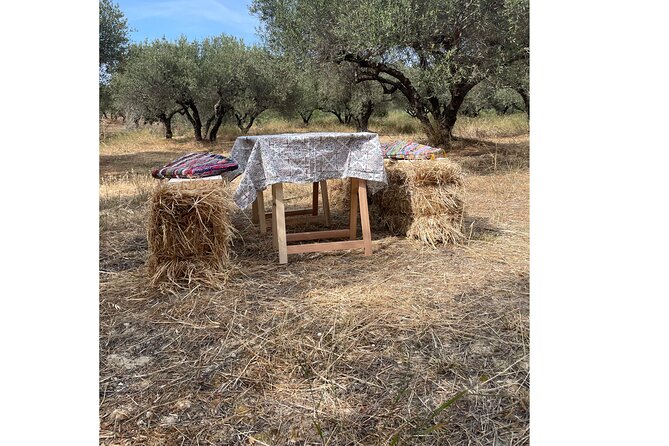 Heraklion:Olive & Dragon Fruit Farm Tour & Cretan Farmers Brunch - Practical Details: Meeting Point and Duration