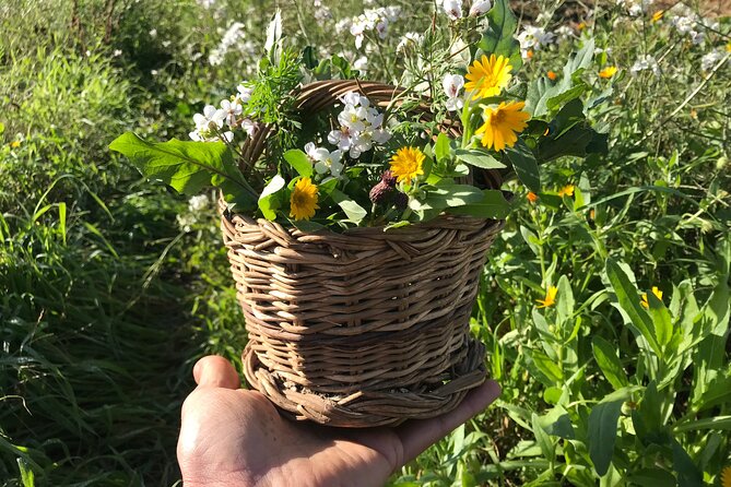 HERBS LAB - from plant to glass - Practical Details: Meeting Point, Timing, and Group Size
