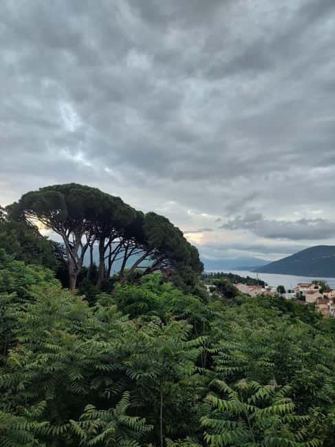 Herceg Novi: to Kotor and Perast by car - Guides and Reviews: Highly Praised Expertise