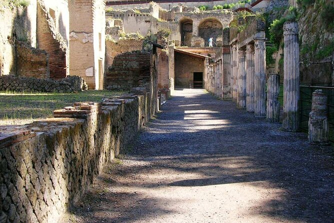 Herculaneum Archaeological Private Tour - Explore Herculaneum’s Ancient Ruins in Comfort and Style