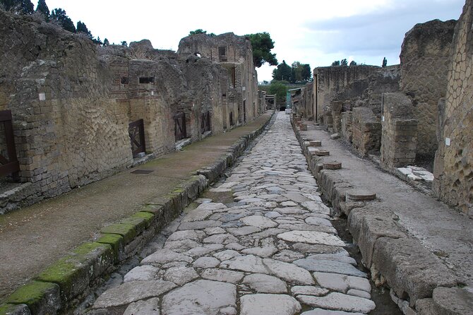 Herculaneum Archaeological Private Tour - Discover the Preservation of Wooden Structures and Artifacts