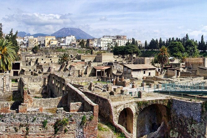 Herculaneum Guided Tour with Pick Up in Naples - Practical Details and Logistics