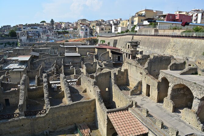 Herculaneum Guided Tour with Pick Up in Naples - Limitations and Considerations
