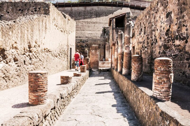 Herculaneum Guided Walking Tour with Entry Ticket - Discover the Ancient Wonders of Herculaneum with a Guided Tour