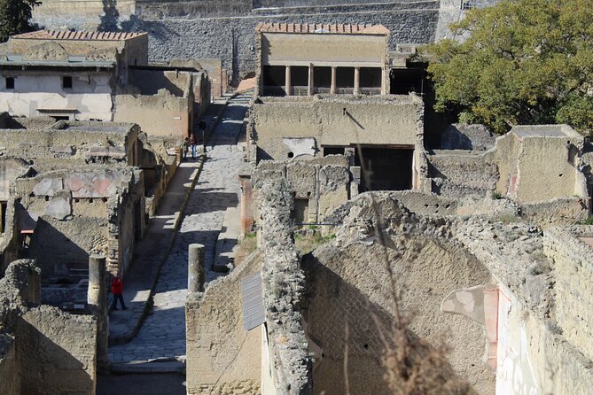Herculaneum Private Guided Tour Led by a Local Top-rated Guide - All inclusive - Highlights of Key Ruins and Artworks