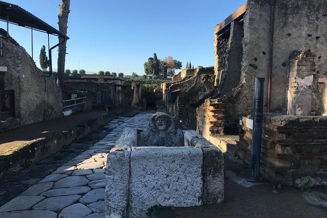 Herculaneum - Private Tour (skip-the-line admission included) - Flexibility and Cancellation Policy