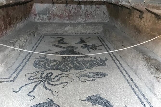 Herculaneum - Private Tour (skip-the-line admission included) - Who Should Book This Tour