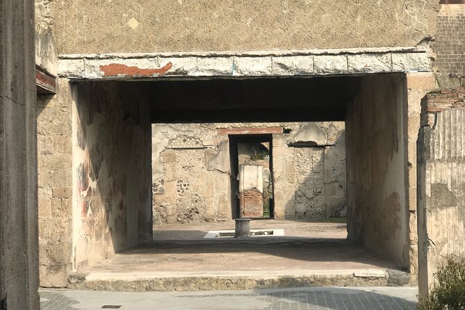 Herculaneum Private Tour with an Archaeologist - Herculaneum with a Personal Touch: Who Should Consider This Tour