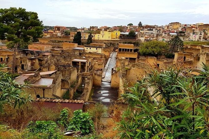 Herculaneum Private Two-hour Tour With A Real Archaeologist - Why This Tour Stands Out for Curious Historians