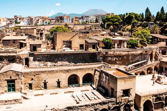 Herculaneum Ruins Private Half-Day Tour - Explore Herculaneum with a Private Half-Day Transfer from Naples or Sorrento