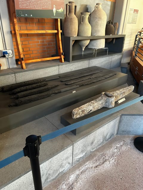 Herculaneum - Small Group Tour (admission included) - Focus on the Eruption and the City’s Preservation