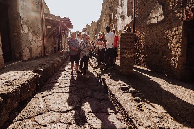Herculaneum Small Group Tour and Ticket With an Archaeologist - Starting Point at Corso Resina and Easy Access