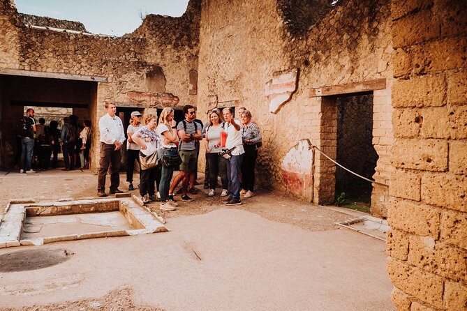 Herculaneum Small Group Tour and Ticket With an Archaeologist - The Site’s Preservation and Unique Features