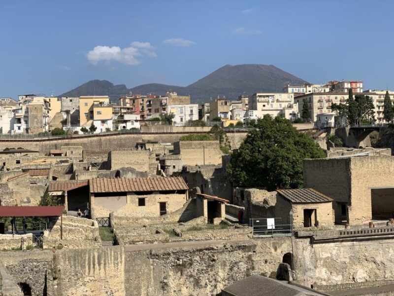 Herculaneum: Tickets & Tour with a Local Archaeologist - The Guided Tour Experience with a Passionate Archaeologist