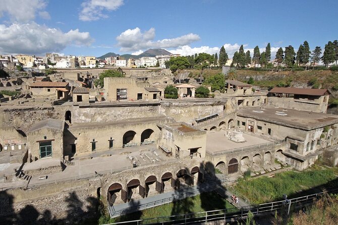 Herculaneum VIP Tour with Lunch from Naples - Explore Herculaneum with Skip-the-Line Access and a Delicious Lunch