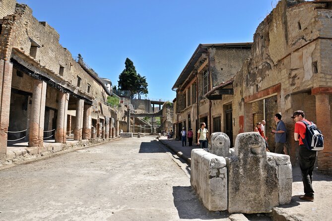 Herculaneum VIP Tour with Lunch from Naples - Final Thoughts on the Herculaneum VIP Tour