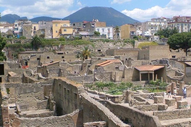Herculaneum walking tour with a professional Guide - Key Points