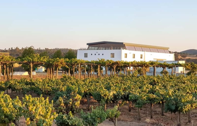 Herdade Canal Caveira - Winery Visit 4 Red's Wines & Tapas - Explore the Charm of Herdade Canal Caveira’s Winery and Vineyards