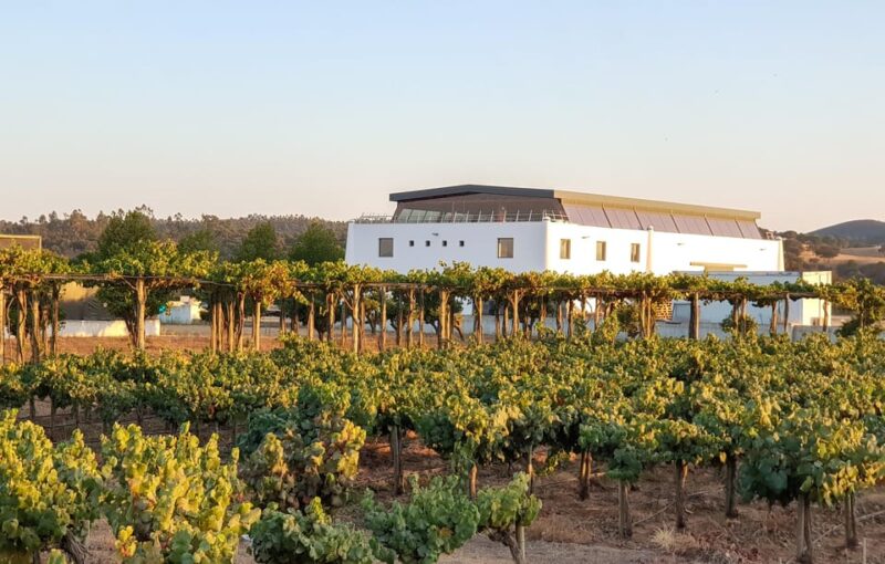 Herdade Canal Caveira - Winery Visit 4 Wines & Tapas - Explore a Unique Portuguese Winery with a Guided Tour and Tasting