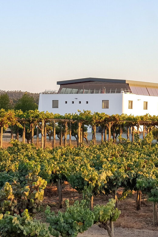Herdade Canal Caveira Winery Visit with TOP5 Wines & Tapas - Frequently Asked Questions