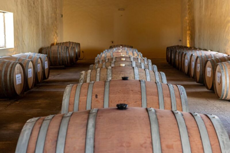 Herdade da Comporta Tailormade Winetasting - Comparing Similar Experiences and Options