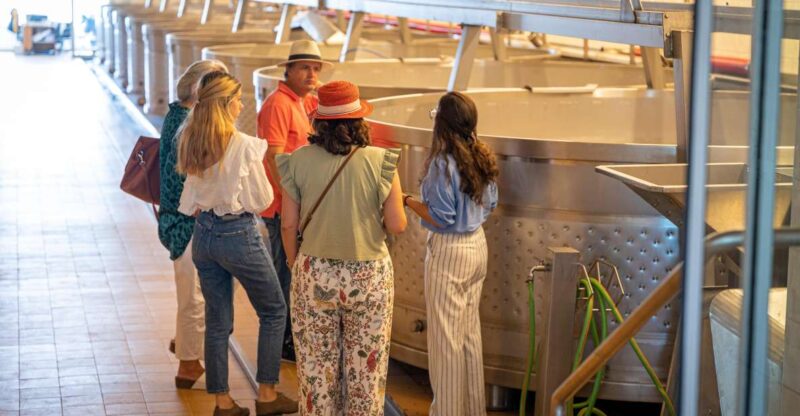 Herdade da Comporta Tailormade Winetasting - Why This Tour Stands Out