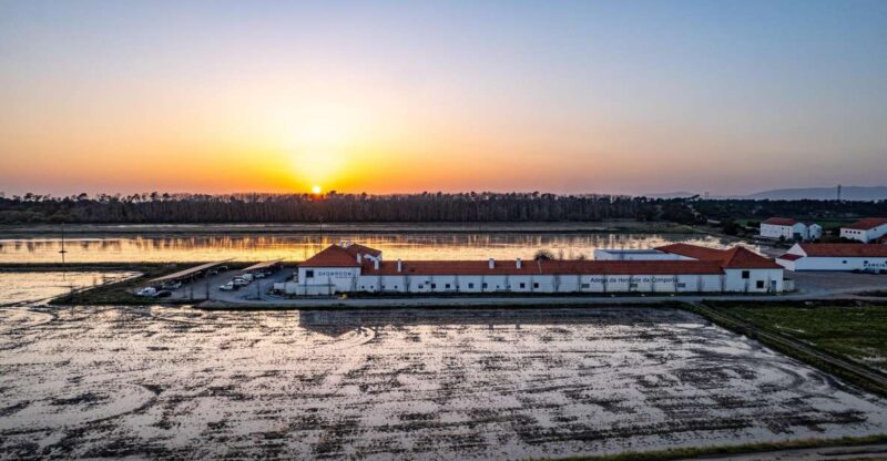 Herdade da Comporta Winetasting - The Scenic Setting and Rice Field Views