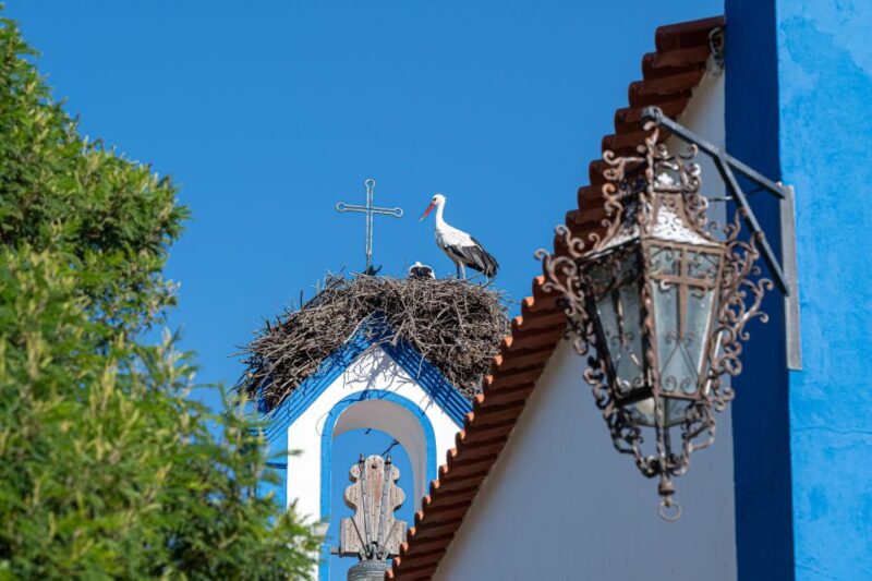 Herdade da Comporta Winetasting - Who Will Most Enjoy This Tour?