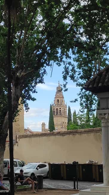 Heritage Córdoba: The most essential tour in Córdoba - Who Will Enjoy This Córdoba Tour Most